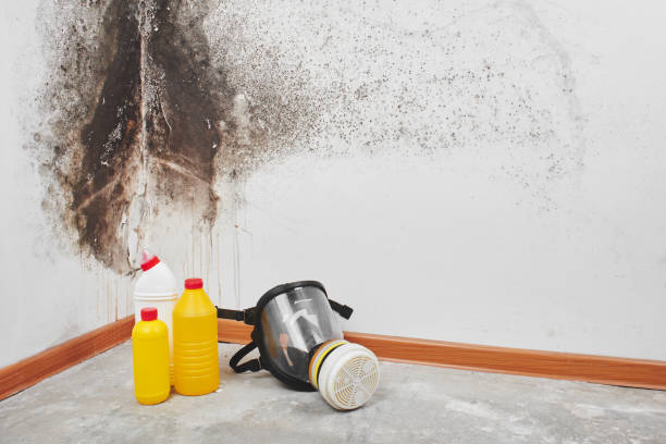 Best Mold Testing  in Claude, TX